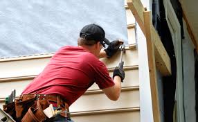 Best Historical Building Siding Restoration  in Round Lake Heights, IL